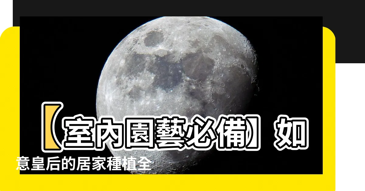 【如意皇后種植】【室內園藝必備】如意皇后的居家種植全指南
