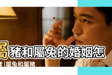 【屬豬和屬兔和嗎】屬豬和屬兔的婚姻怎麼樣 |屬兔和屬豬的合得來嗎 |屬豬的人和屬兔的人配嗎 |