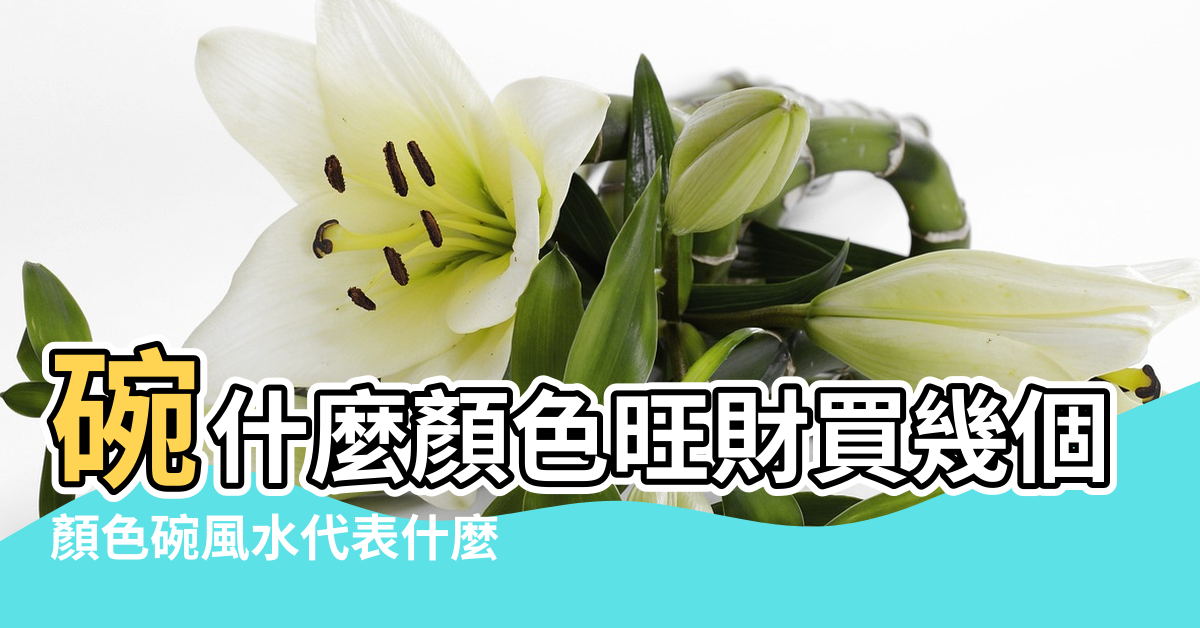 【碗什麼顏色好風水學】碗什麼顏色旺財買幾個才吉利 |顏色碗風水代表什麼 |餐具用什麼顏色的好在風水學上看 |