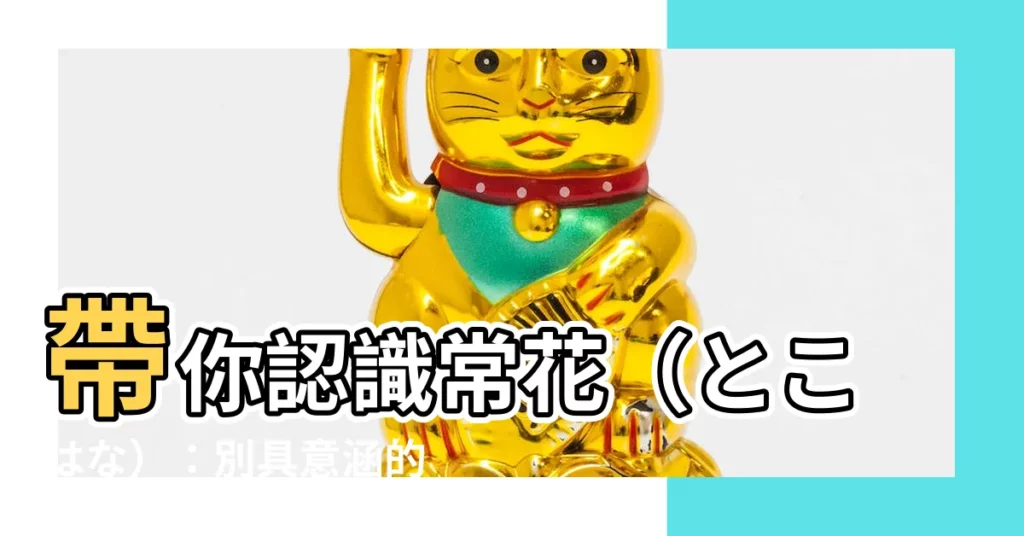 【常花 意味】帶你認識常花（とこはな）：別具意涵的常綠植物！