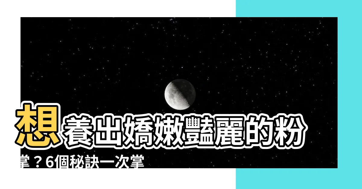【粉掌】想養出嬌嫩豔麗的粉掌？6個秘訣一次掌握！
