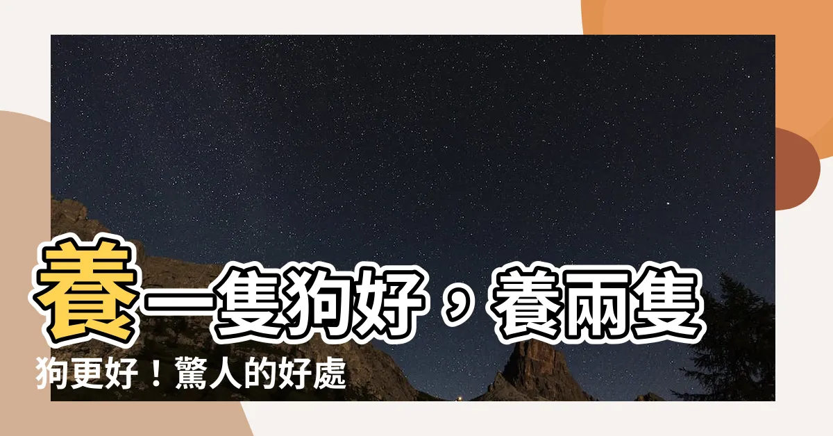 【養兩隻狗好嗎】養一隻狗好，養兩隻狗更好！驚人的好處你不可不知！