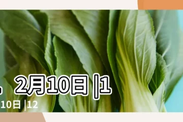 【歷史上12月10日】12月10日 |12月10日 |12月10日 |