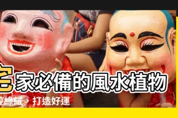 【蔓綠絨風水】宅家必備的風水植物：蔓綠絨，打造好運財運亨通！