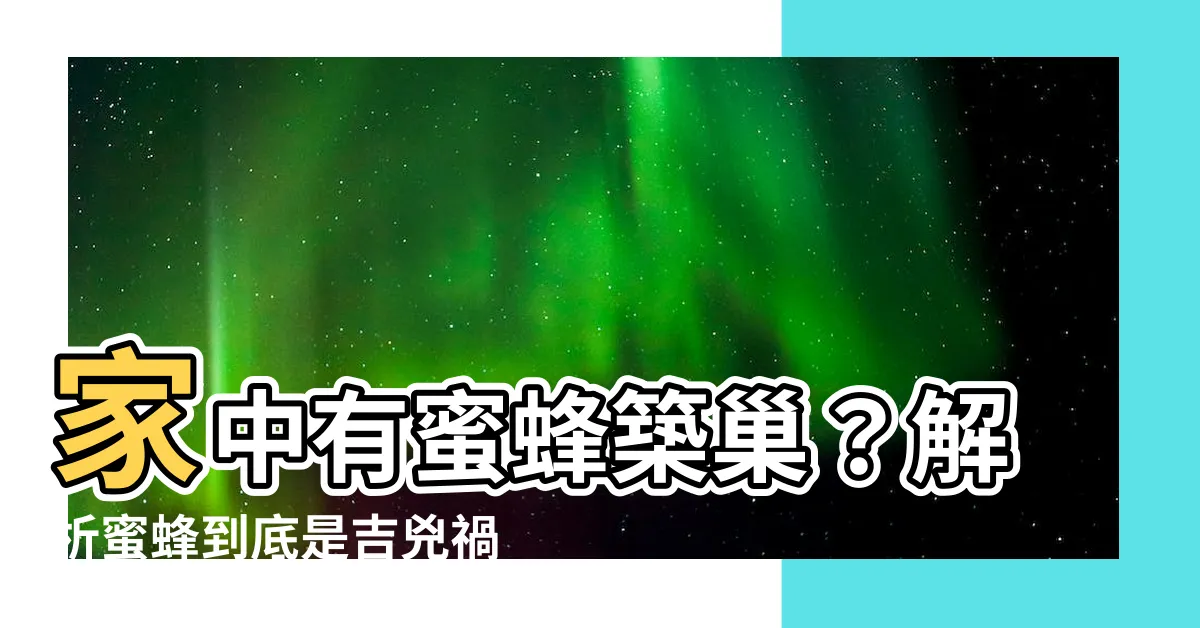 【家中有蜜蜂築巢】家中有蜜蜂築巢？解析蜜蜂到底是吉兇禍福的象徵