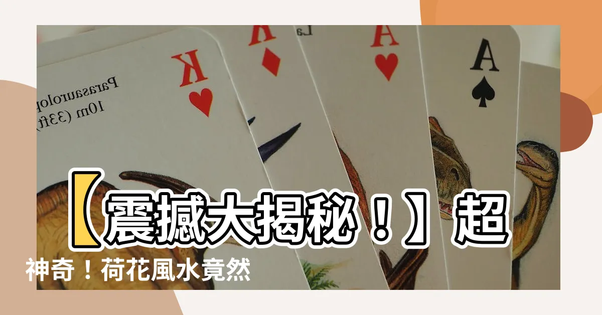 【荷花 風水】【震撼大揭秘！】超神奇！荷花風水竟然能改變你的命運！！