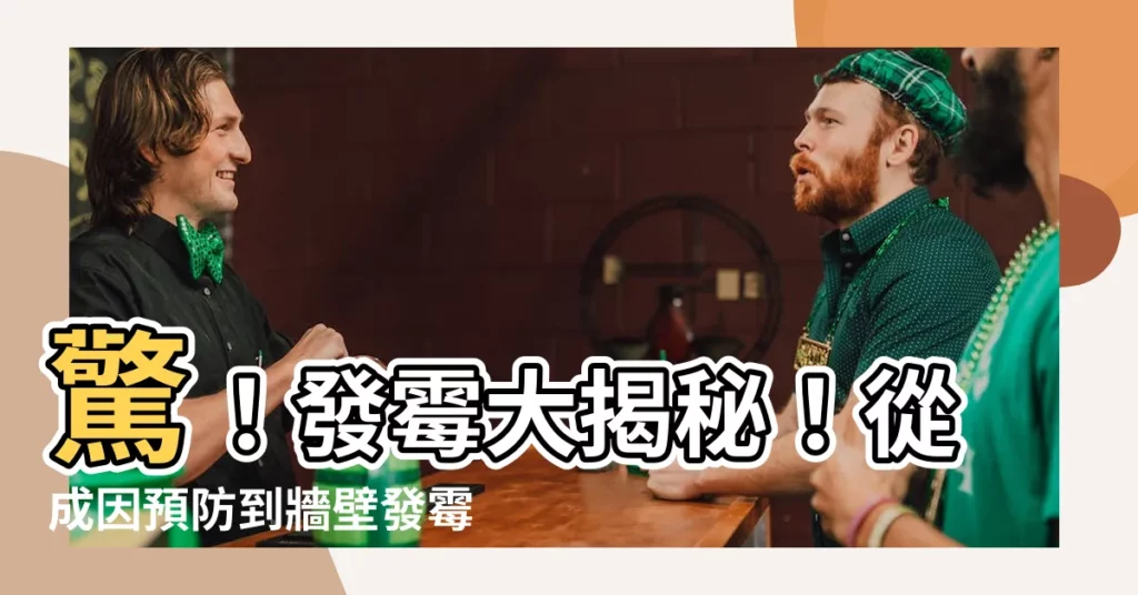 【發黴原因】驚！發黴大揭秘！從成因預防到牆壁發黴5大預防絕招