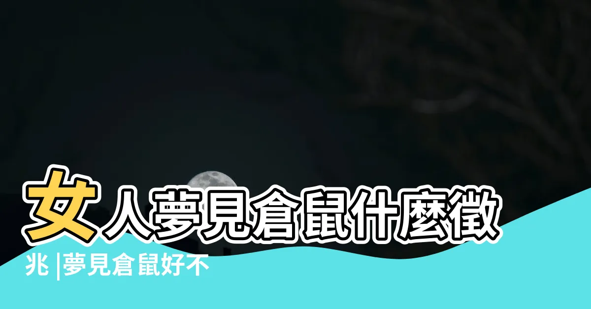 【夢見倉鼠】女人夢見倉鼠什麼徵兆 |夢見倉鼠好不好 |夢見倉鼠是什麼意思 |