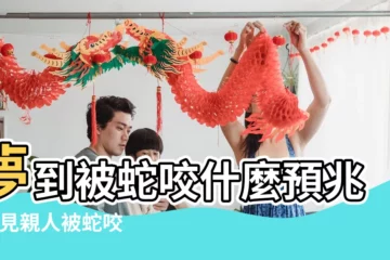 【夢見親人被蛇咬 039】夢到被蛇咬什麼預兆 |夢見親人被蛇咬是什麼預兆 |夢見親人被蛇咬了一口是什麼意思 |