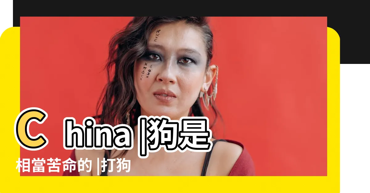 【打狗吃】China |狗是相當苦命的 |打狗吃TAKAO |