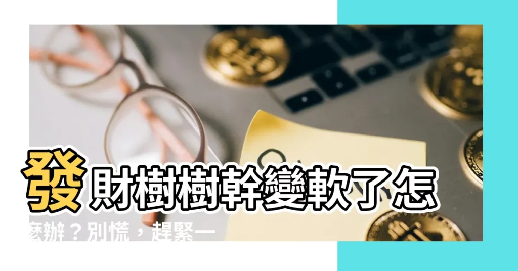 【發財樹樹幹軟】發財樹樹幹變軟了怎麼辦？別慌，趕緊一招救活！