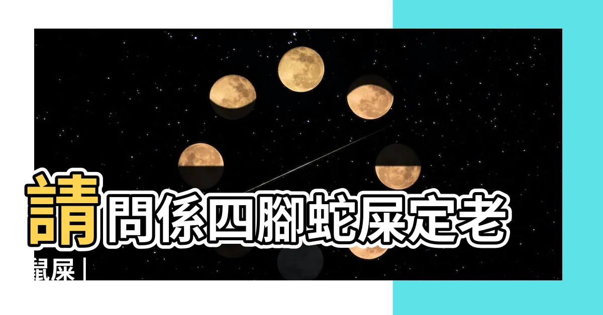 【蛇圖畫】請問係四腳蛇屎定老鼠屎 |
