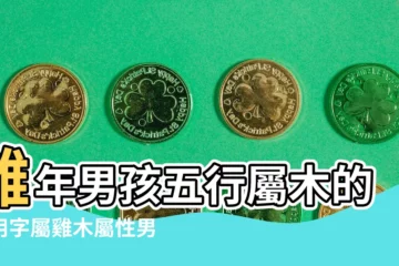 【農曆9月生的雞寶寶取名】雞年男孩五行屬木的常用字屬雞木屬性男寶寶起名 |農曆九月的雞寶寶取名 |農曆九月寶寶取名 |