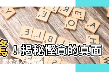 【慳貪意思】驚！揭秘慳貪的真面目，避免落入貪婪陷阱！