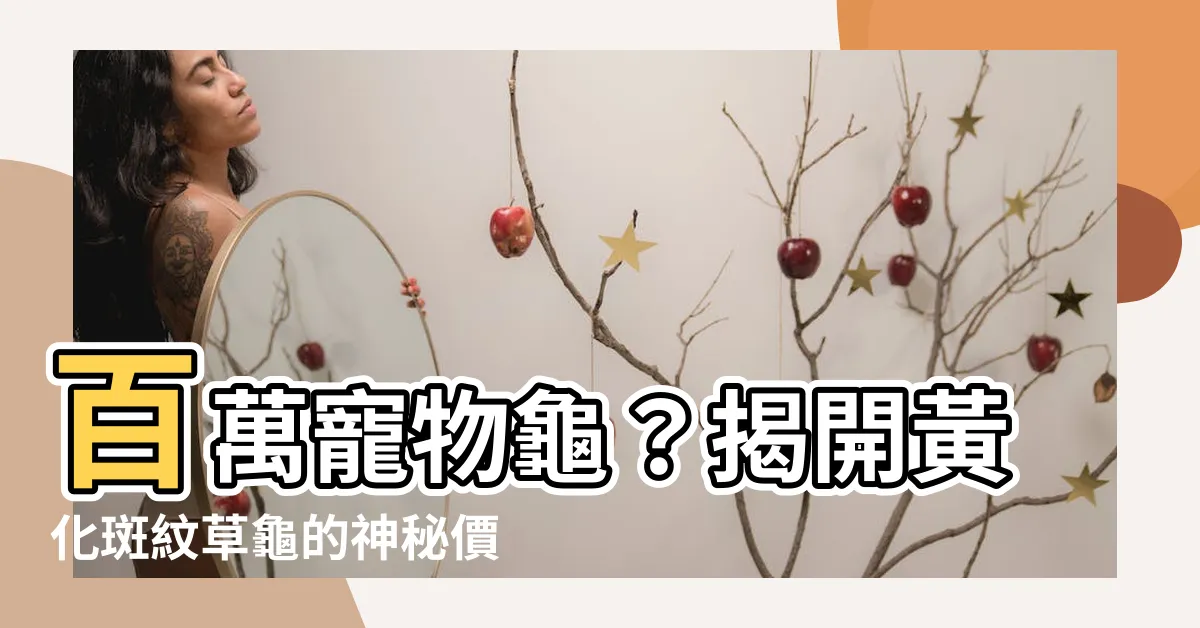【黃化斑紋草龜多少錢】百萬寵物龜？揭開黃化斑紋草龜的神秘價格！