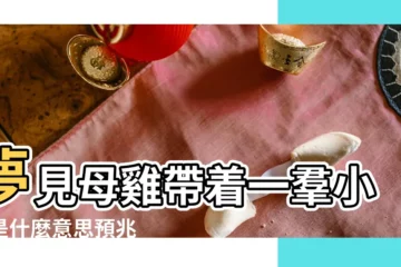 【孕婦夢到母雞和一羣小雞】夢見母雞帶着一羣小雞是什麼意思預兆 |周公解夢孕婦夢見雞預示可以平安順產生個可愛的小寶貝 |夢見母雞孵小雞 |