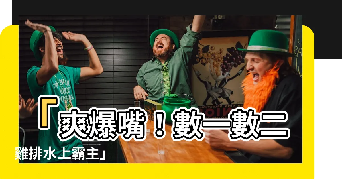 【數一數二雞排水上】「爽爆嘴！數一數二雞排水上霸主」