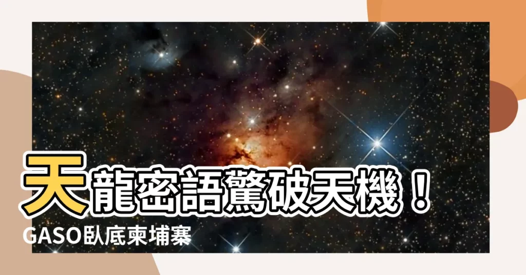 【天龍蓋地虎】天龍密語驚破天機!GASO卧底柬埔寨驚天救援