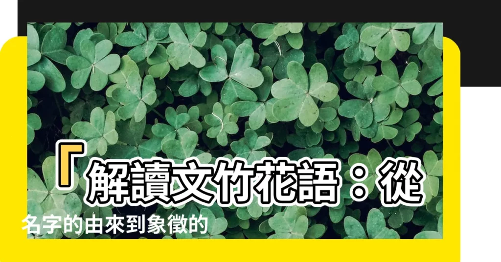 【文竹 花語】「解讀文竹花語：從名字的由來到象徵的意義」
