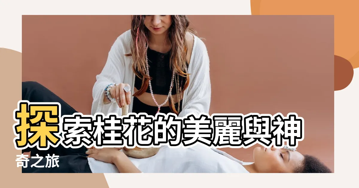 【桂花】探索桂花的美麗與神奇之旅