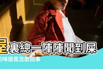 【房子裏有屎臭味】屋裏總一陣陣聞到屎臭的味道是怎麼回事 |房間裏面莫名其妙的有股屎臭 |房間裏為什麼有腳屎味 |