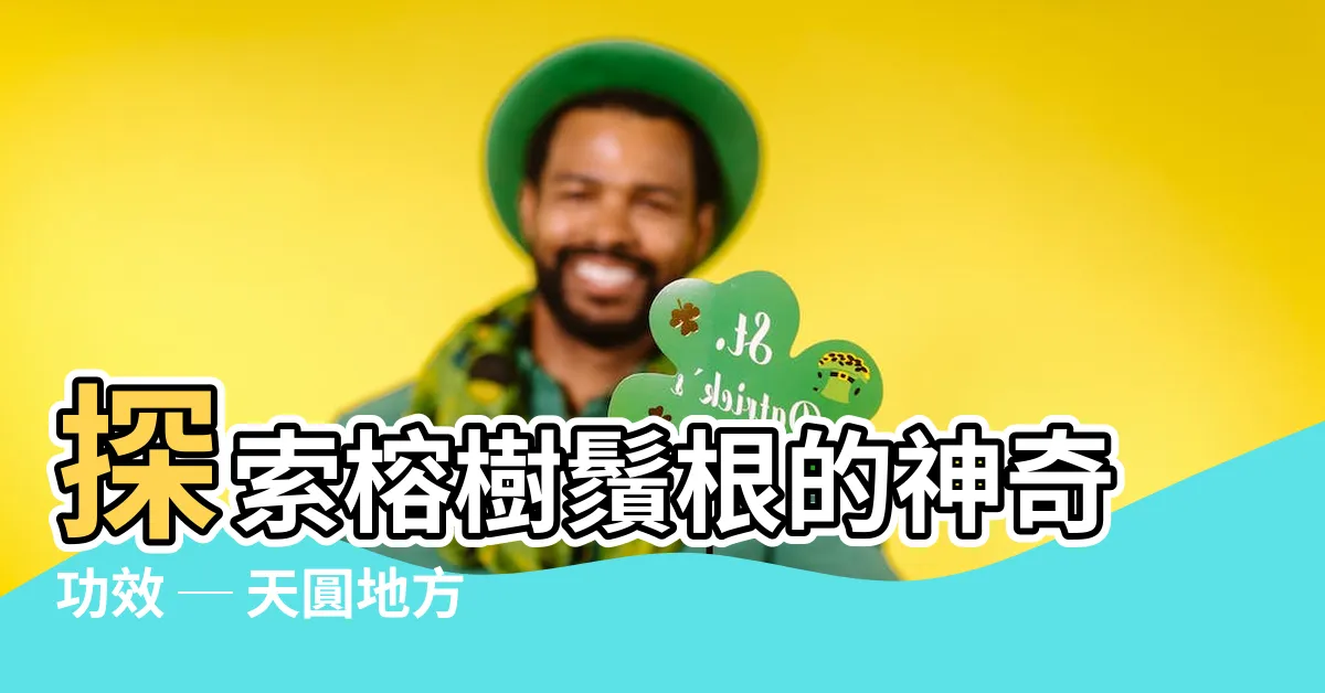 【榕樹鬚根功效】探索榕樹鬚根的神奇功效 ─ 天圓地方中草藥中的瑰寶