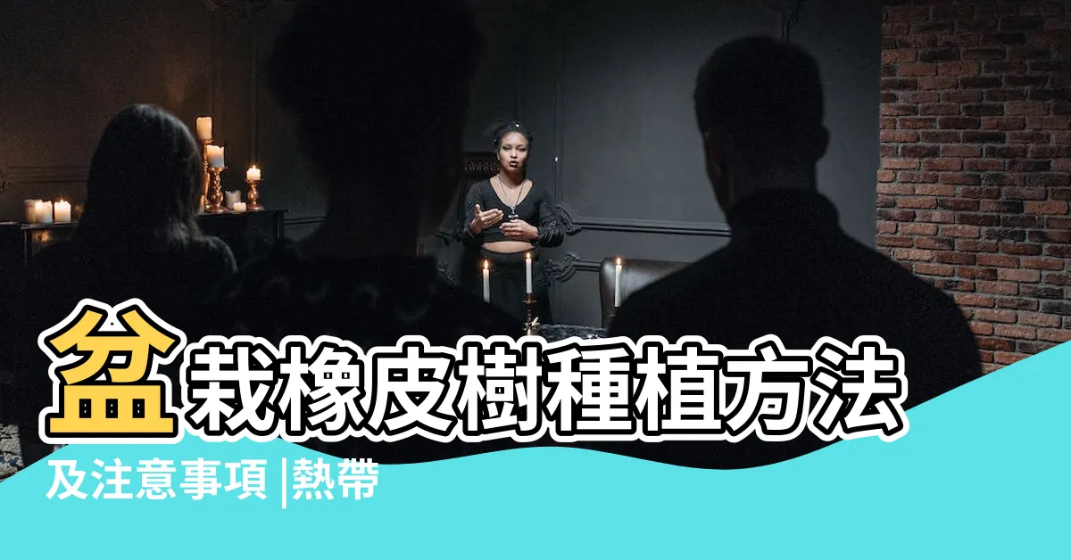 【橡皮樹照顧】盆栽橡皮樹種植方法及注意事項 |熱帶風情最療癒 |推薦這5種 |