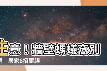 【牆壁螞蟻窩】注意！牆壁螞蟻窩別忽視　居家6招驅趕螞蟻超有效