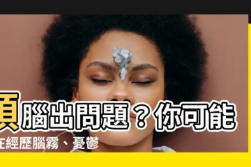 【頭腦有問題】頭腦出問題？你可能正在經歷腦霧、憂鬱、焦慮或思覺失調