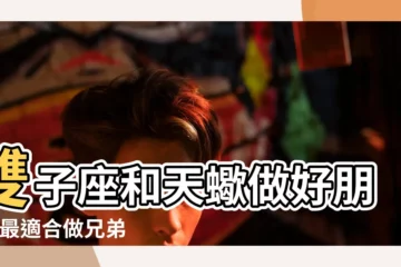 【雙子座天蠍座做兄弟】雙子座和天蠍做好朋友 |最適合做兄弟的星座配對 |雙子座和天蠍座座配嗎雙子和天蠍適不適合做兄弟 |