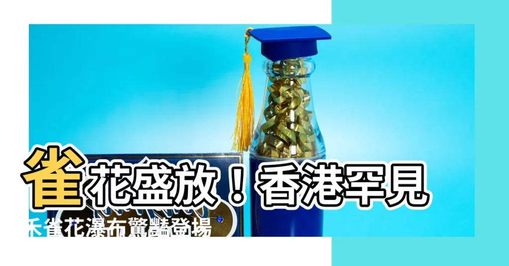 【雀花】雀花盛放！香港罕見禾雀花瀑布驚豔登場