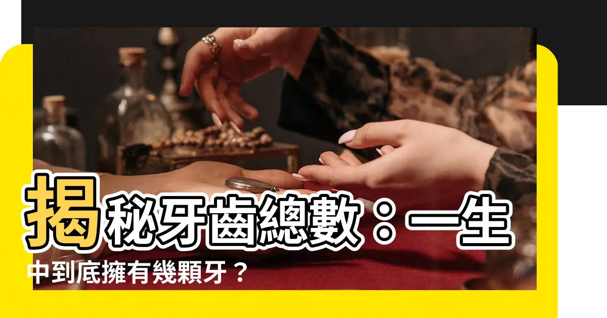 【牙齒總數】揭秘牙齒總數：一生中到底擁有幾顆牙？