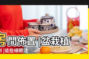 【牀頭桃花】房間佈置 |盆栽植物到 |這些細節注意到了嗎 |