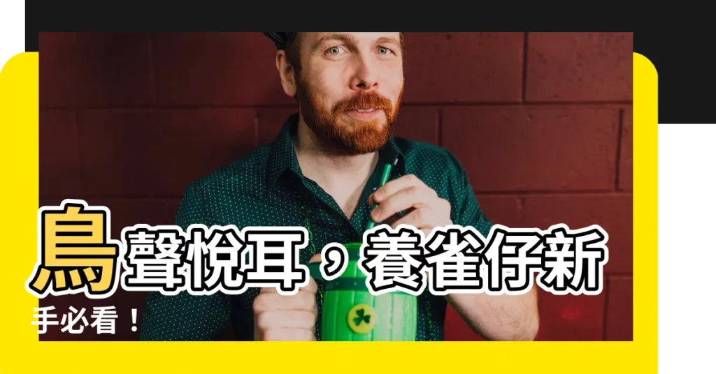【養雀仔】鳥聲悦耳，養雀仔新手必看！