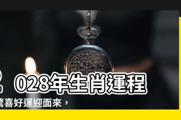【2028年生肖運程】2028年生肖運程：驚喜好運迎面來，屬猴準備發大財！