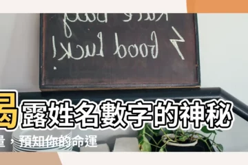 【姓名數字】揭露姓名數字的神秘力量，預知你的命運吉凶！