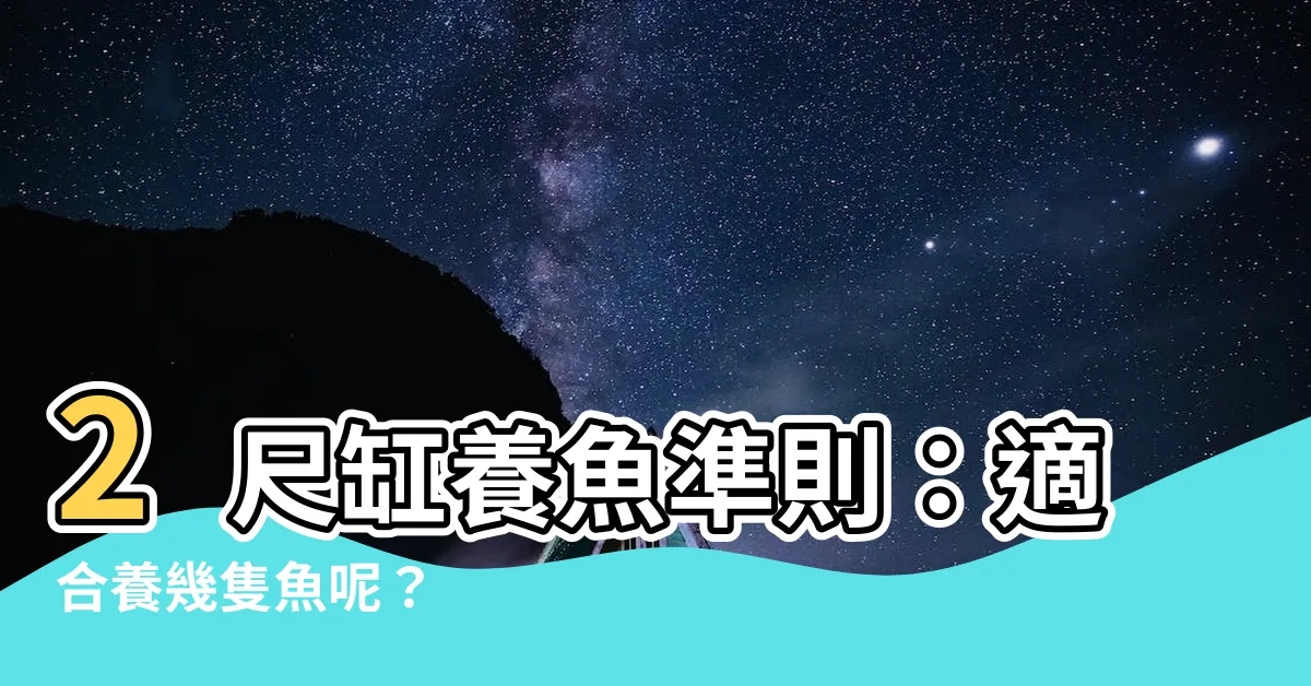 【2尺缸可以養幾隻魚】2尺缸養魚準則：適合養幾隻魚呢？