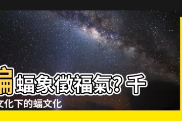 【蝙蝠福氣】蝙蝠象徵福氣? 千年文化下的蝠文化