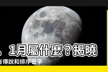 【11月屬什麼】11月屬什麼？揭曉生肖傳説和排序密辛！