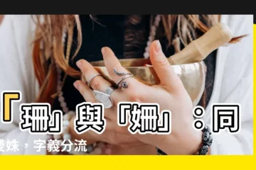 【姍意思】「珊」與「姍」：同義雙姝，字義分流