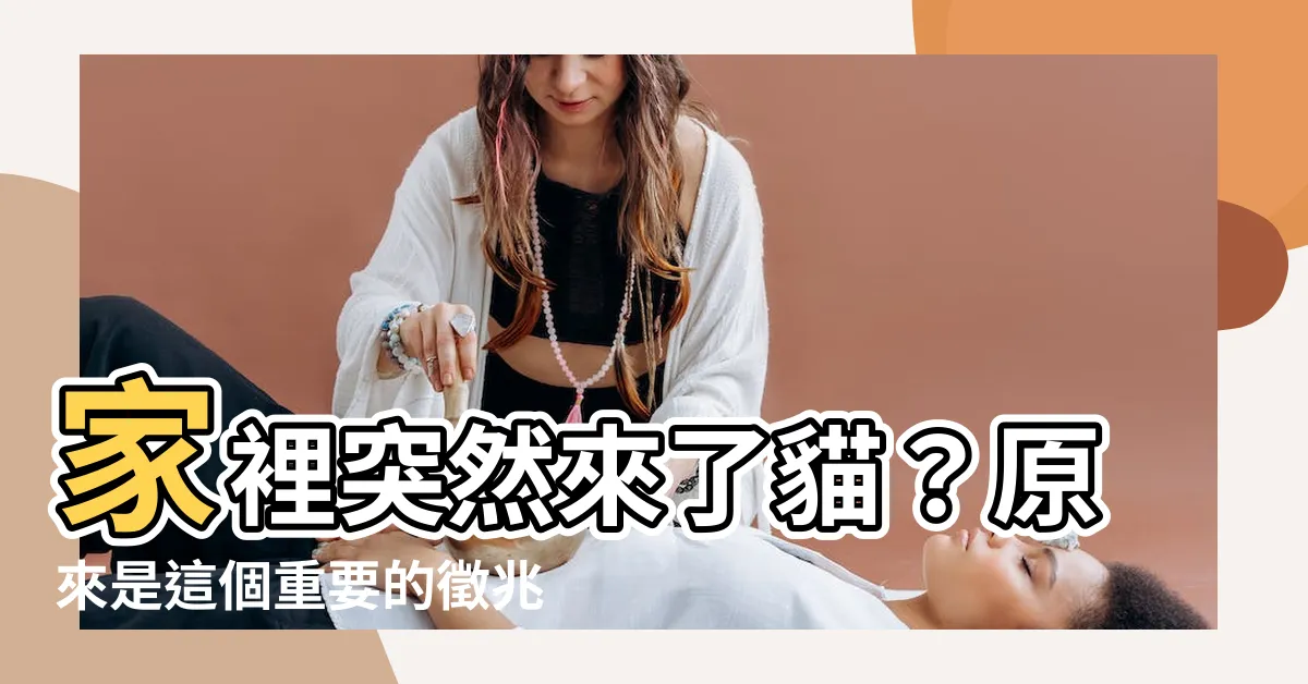 【家裡有貓來】家裡突然來了貓？原來是這個重要的徵兆！