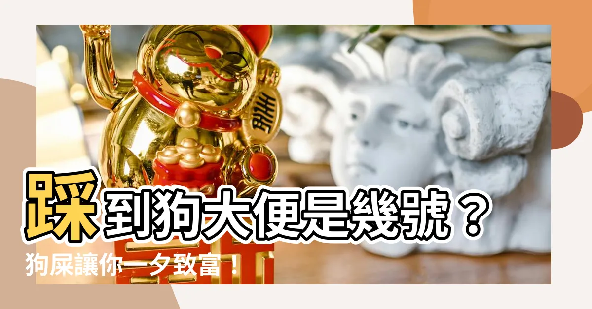 【踩到狗大便是幾號】踩到狗大便是幾號？狗屎讓你一夕致富！