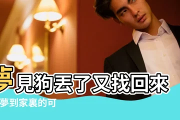 【做夢夢到我丟失的狗狗怎麼辦】夢見狗丟了又找回來了 |夢到家裏的可愛狗狗不見了自己到處找 |做夢夢見狗不見了到處找好不好 |