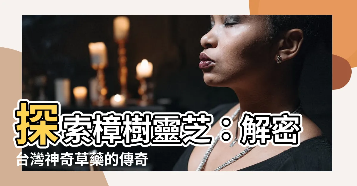 【樟樹靈芝】探索樟樹靈芝：解密台灣神奇草藥的傳奇之旅！