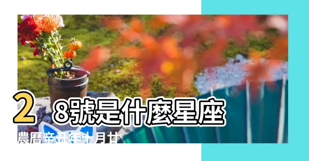 28號是什麼星座 |農曆辛丑年十月廿四日是幾 |28萬年曆陰曆陽曆對照表 |【2017 11.28陽曆】