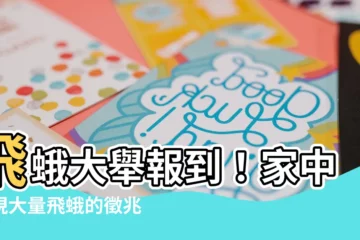 【飛蛾 徵兆】飛蛾大舉報到！家中出現大量飛蛾的徵兆，暗示「兩事」將發生！？