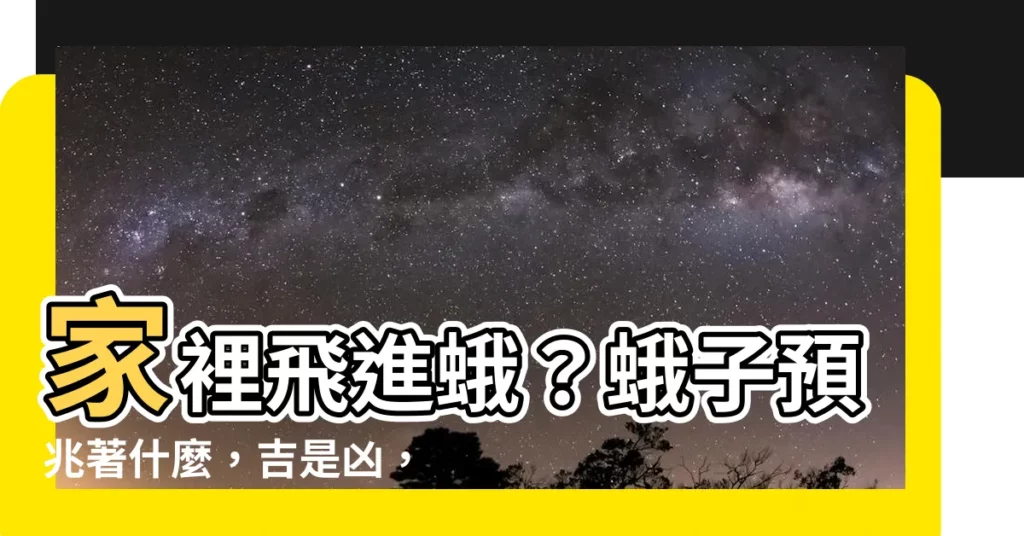 【家裡飛進蛾】家裡飛進蛾？蛾子預兆著什麼，吉是兇，揭秘家蛾預兆