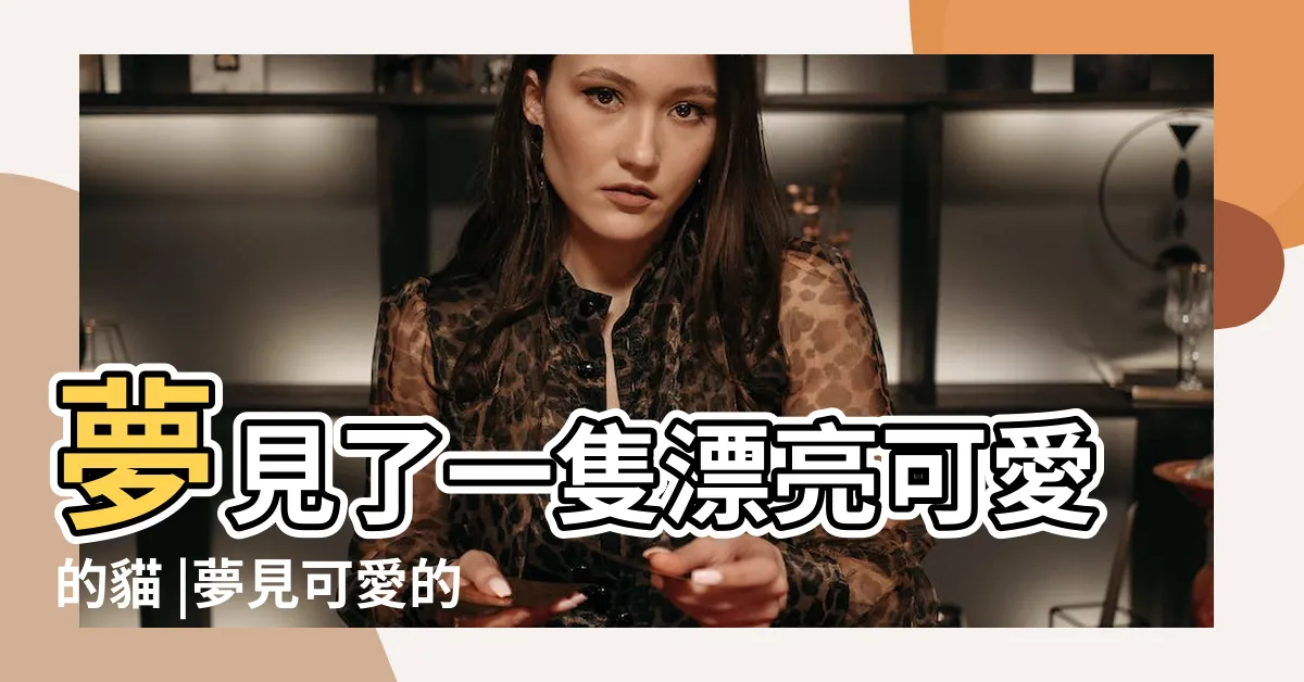 【夢見可愛的貓】夢見了一隻漂亮可愛的貓 |夢見可愛的貓 |夢見可愛的貓 |
