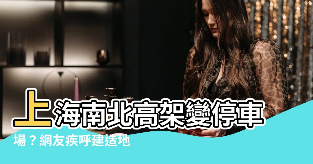 【上海南北高架】上海南北高架變停車場？網友疾呼建造地下高架