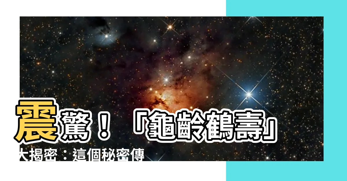 【龜齡鶴壽】震驚！「龜齡鶴壽」大揭密：這個秘密傳統老人一直隱瞞！